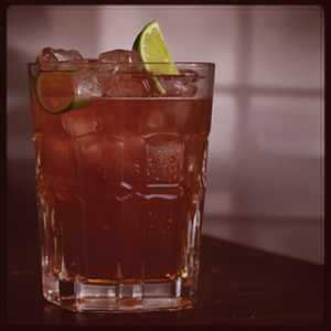 An image of the The Alligator cocktail submitted by Toby that contains Fernet Branca, Lime, Curaçao Triple Sec, Cinnamon Syrup and Lime