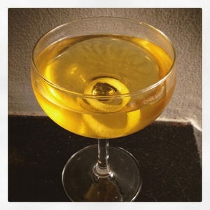An image of the Barnum (Was Right) Cocktail cocktail submitted by n0tquitethere that contains London Dry Gin, Apricot Brandy, Angostura Bitters, Lemon and Lemon