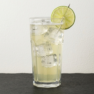An image of the Gin Rickey cocktail submitted by Toby that contains London Dry Gin, Lime Cordial, Soda Water and Lime