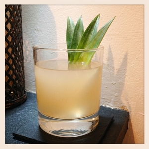 An image of the Goa on the Rocks cocktail submitted by Toby that contains Cachaça, Curaçao Triple Sec, Vanilla Syrup, Coconut Water, Pineapple, Mint, Lime, Ginger Beer and Pineapple