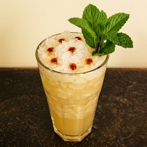 An image of the Queens Park Swizzle cocktail submitted by Toby that contains Agricole Rhum, Lime, Demerara Syrup, Angostura Bitters, Peychauds Bitters, Mint and Mint