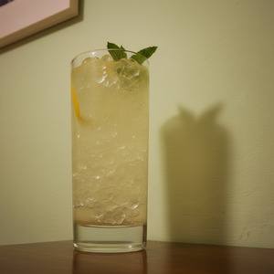 An image of the Tonic Rancheros cocktail submitted by Toby that contains Reposado Tequila, Lime, Agave Nectar and Tonic Water
